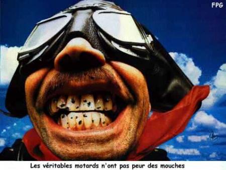 le chiant